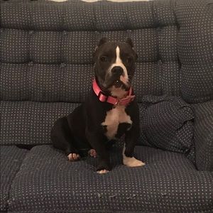 Meet your Posher, Gabriela